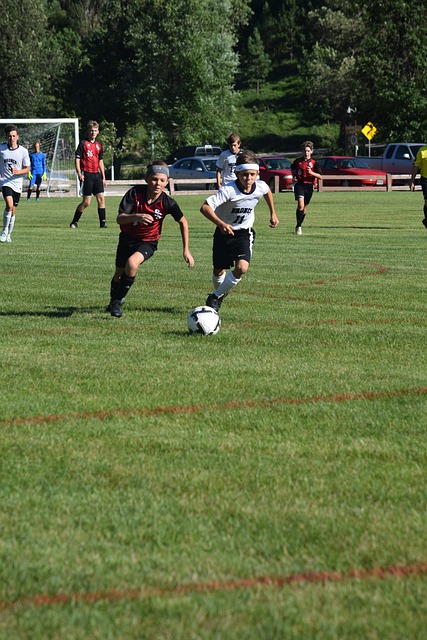 为行为准则 为行为准则