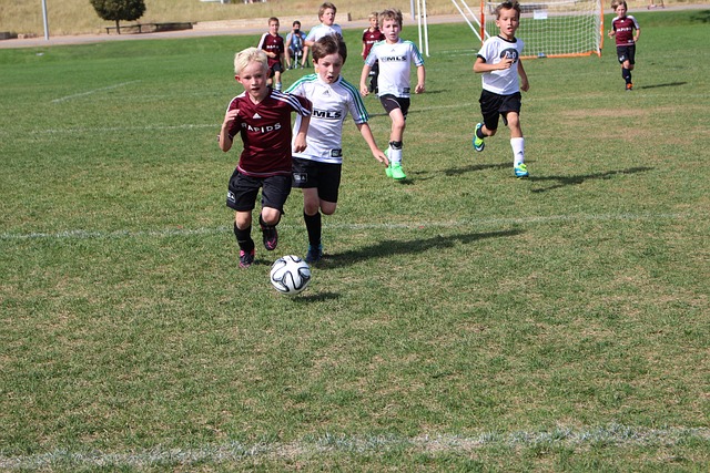 这些都帮助 这些都帮助