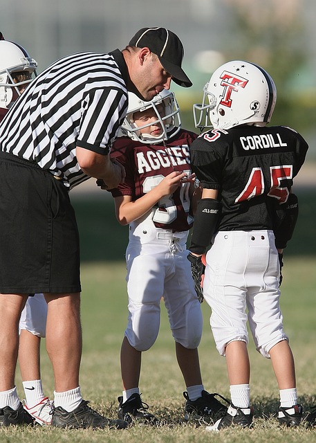 从孙颖莎的 从孙颖莎的