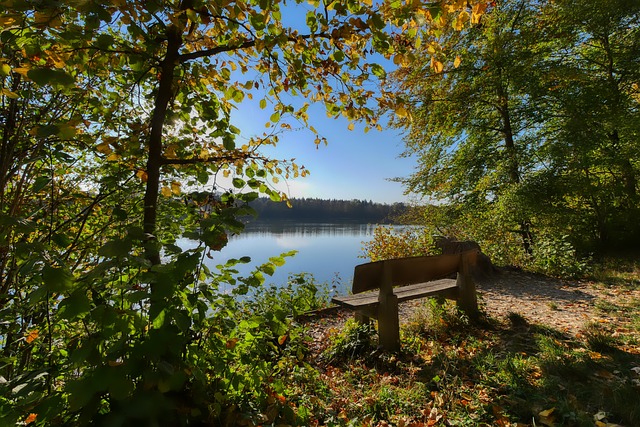 毋庸置疑 毋庸置疑
