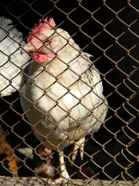 开展三年行动！五部门：到2027年全国消费环境明显优化.