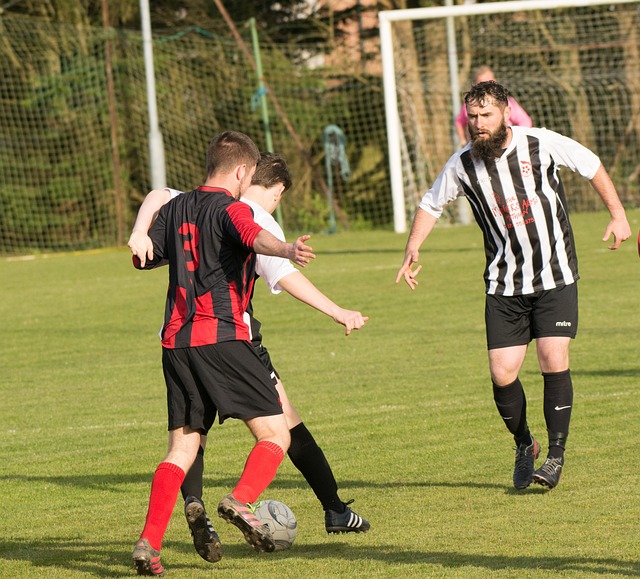 蘭的潛在影 蘭的潛在影