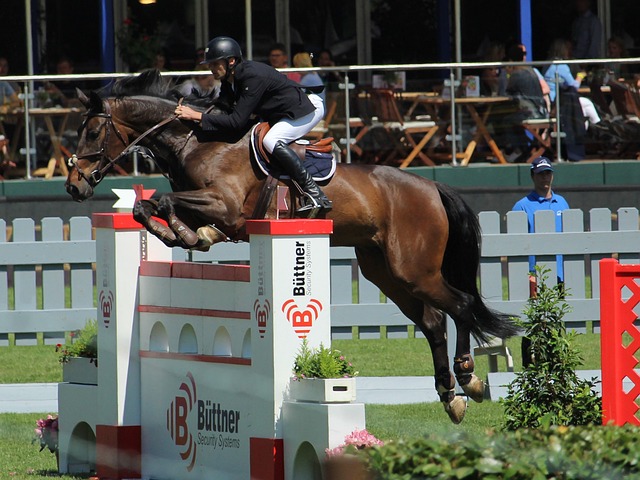 术执行力已 术执行力已